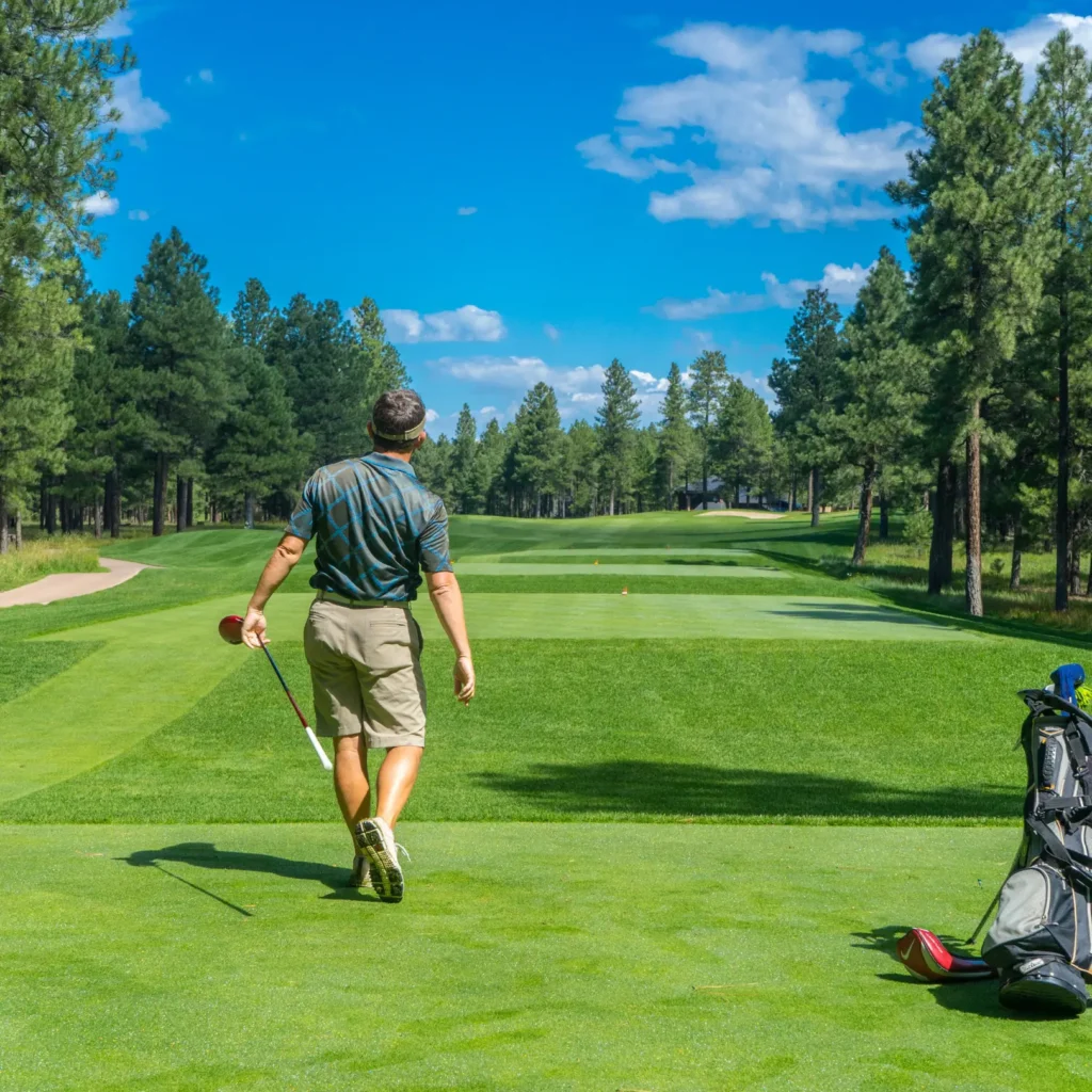 O Guia Definitivo de Golfe Scramble com Stableford